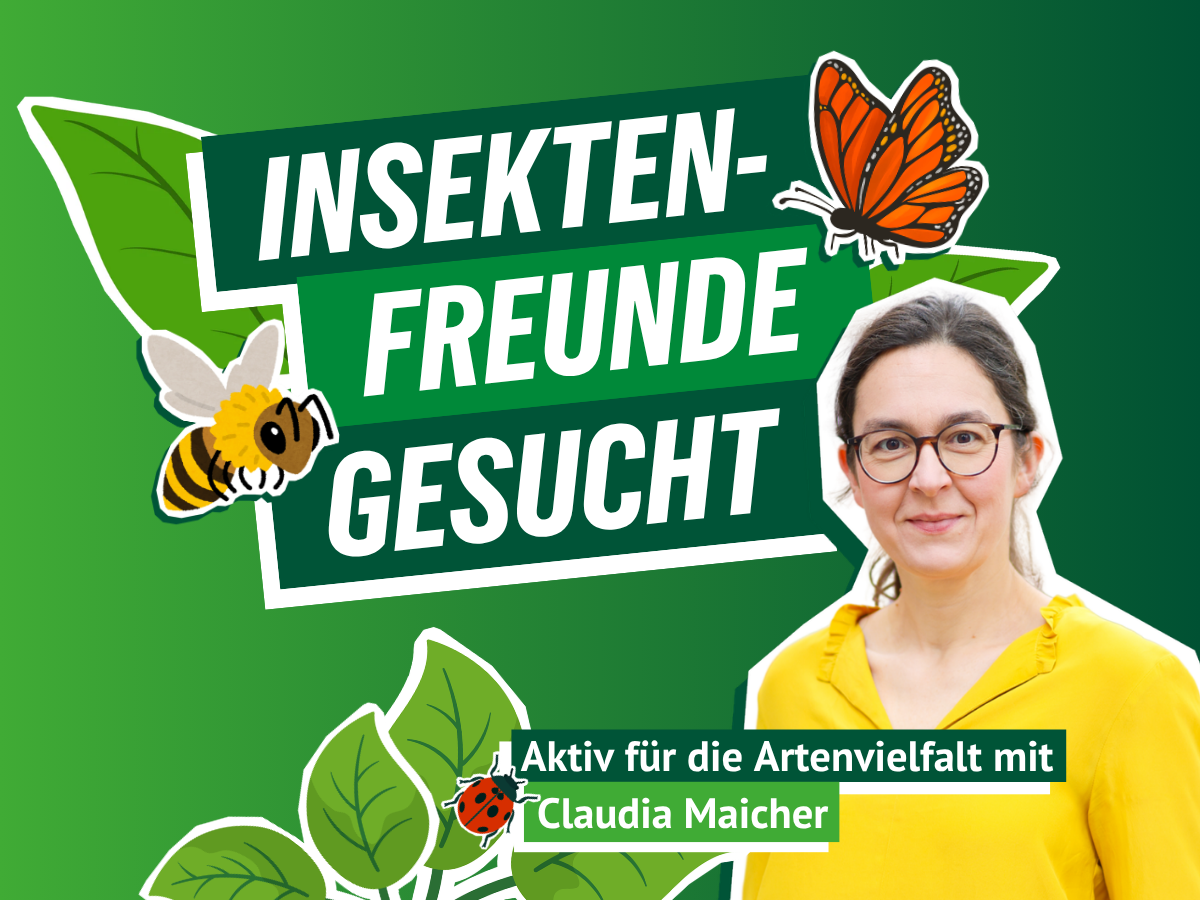 Grafik: Grüner Hintergrund, Bild mit Claudia Maicher in gelber Bluse, Grafiken von Schmetterling, Biene und Marienkäfer Text: Insektenfreunde gesucht, Aktiv für die Artenvielfalt mit Claudia Maicher